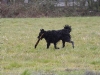 img2008-03-24_048.jpg