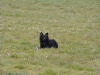 img2008-03-24_049.jpg
