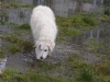 img2008-03-24_050.jpg