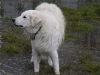 img2008-03-24_051.jpg