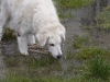 img2008-03-24_053.jpg