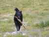 img2008-03-24_054.jpg