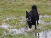 img2008-03-24_064.jpg