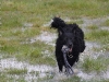 img2008-03-24_065.jpg