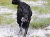img2008-03-24_066.jpg