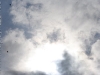 img2008-03-24_068.jpg