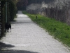 img2008-03-24_073.jpg