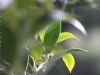 img2008-03-24_075.jpg