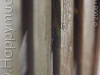 img2008-03-24_077.jpg