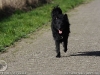 img2008-03-12_025.jpg