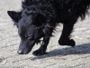 img2008-03-12_028.jpg