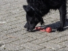 img2008-03-12_029.jpg