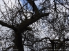 img2008-03-12_036.jpg
