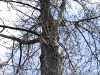 img2008-03-12_038.jpg
