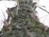 img2008-03-12_040.jpg