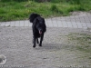 img2008-03-12_042.jpg