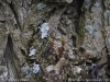 img2008-03-12_045.jpg