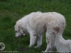 img2008-03-12_048.jpg