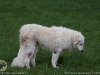 img2008-03-12_051.jpg