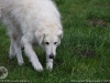 img2008-03-12_052.jpg