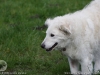 img2008-03-12_053.jpg