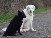 img2008-03-12_061.jpg
