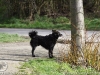 img2008-03-12_065.jpg
