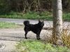 img2008-03-12_066.jpg