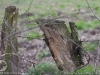 img2008-03-12_067.jpg