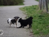 img2008-03-12_072.jpg