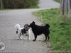 img2008-03-12_073.jpg