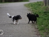 img2008-03-12_074.jpg