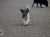 img2008-03-12_075.jpg
