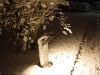 img2008-11-23_001.jpg