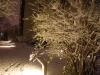 img2008-11-23_002.jpg