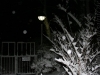img2008-11-23_004.jpg