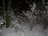 img2008-11-23_005.jpg