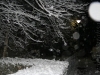img2008-11-23_009.jpg
