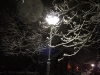 img2008-11-23_021.jpg