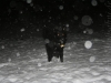 img2008-11-23_030.jpg