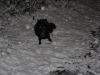 img2008-11-23_036.jpg