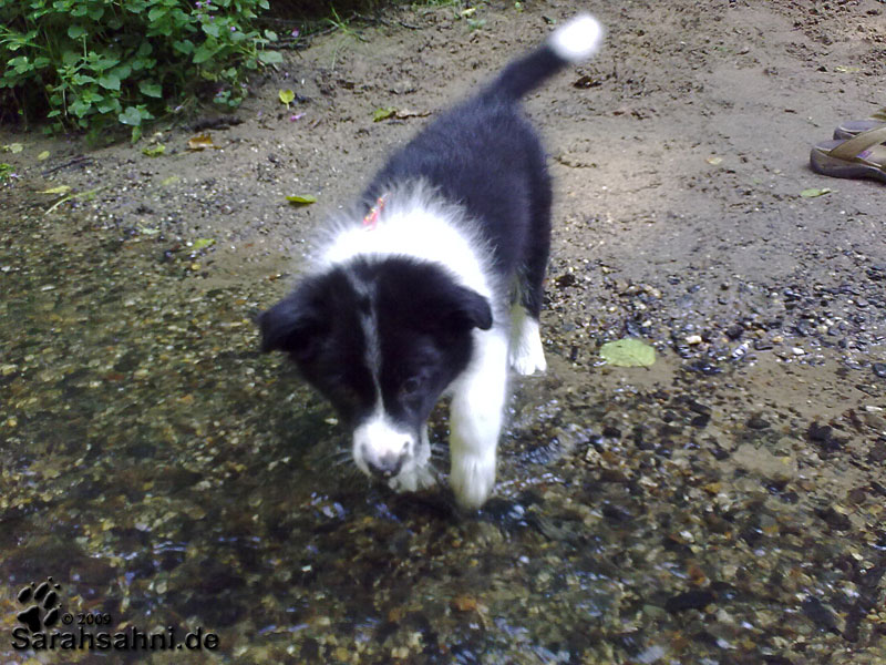 Baby Button nimmt ein Fußbad